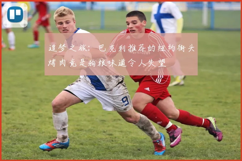 追梦之旅：巴克利推荐的纽约街头烤肉竟是狗粮味道令人失望
