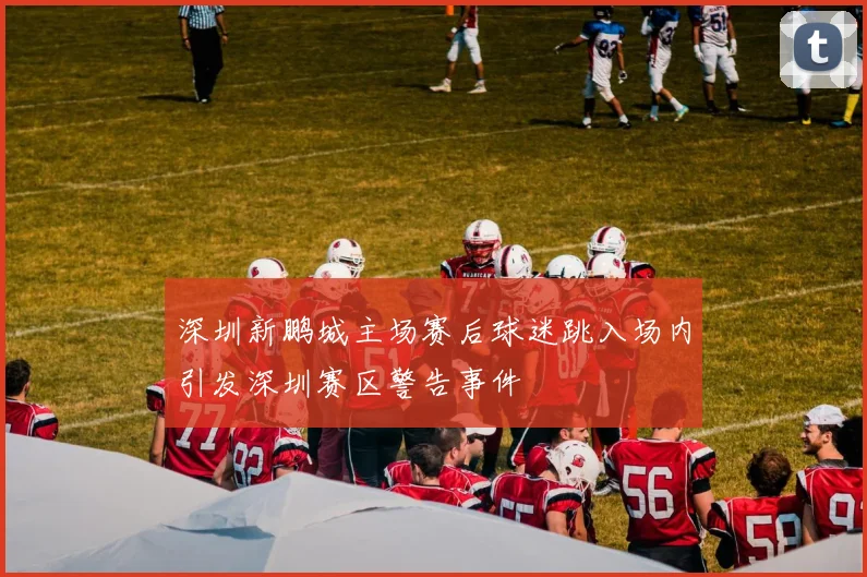 深圳新鹏城主场赛后球迷跳入场内引发深圳赛区警告事件