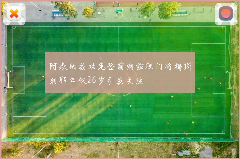 阿森纳成功免签前利兹联门将梅斯利耶年仅26岁引发关注